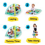 baby einstein farm gym
