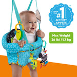 Bright Starts Bounce 'n Spring Deluxe Door Jumper