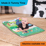 baby einstein activity gym
