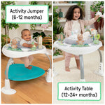 Baby Activity Center 2-in-1 Jumper and Table