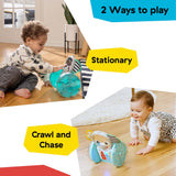 baby playing with chase & tap earl interactive crawling toy