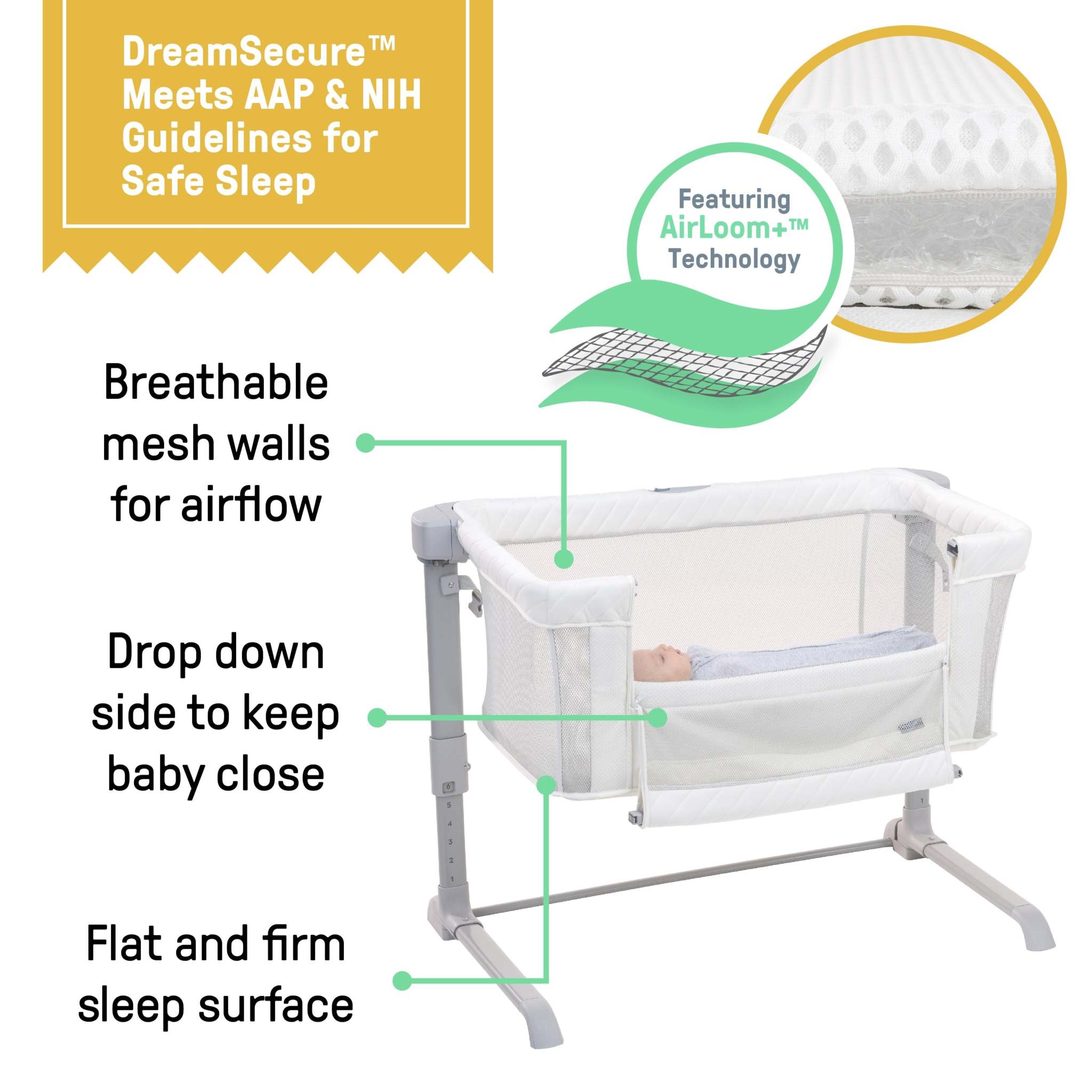 dreamsecure 2-in-1 co-sleeping bassinet