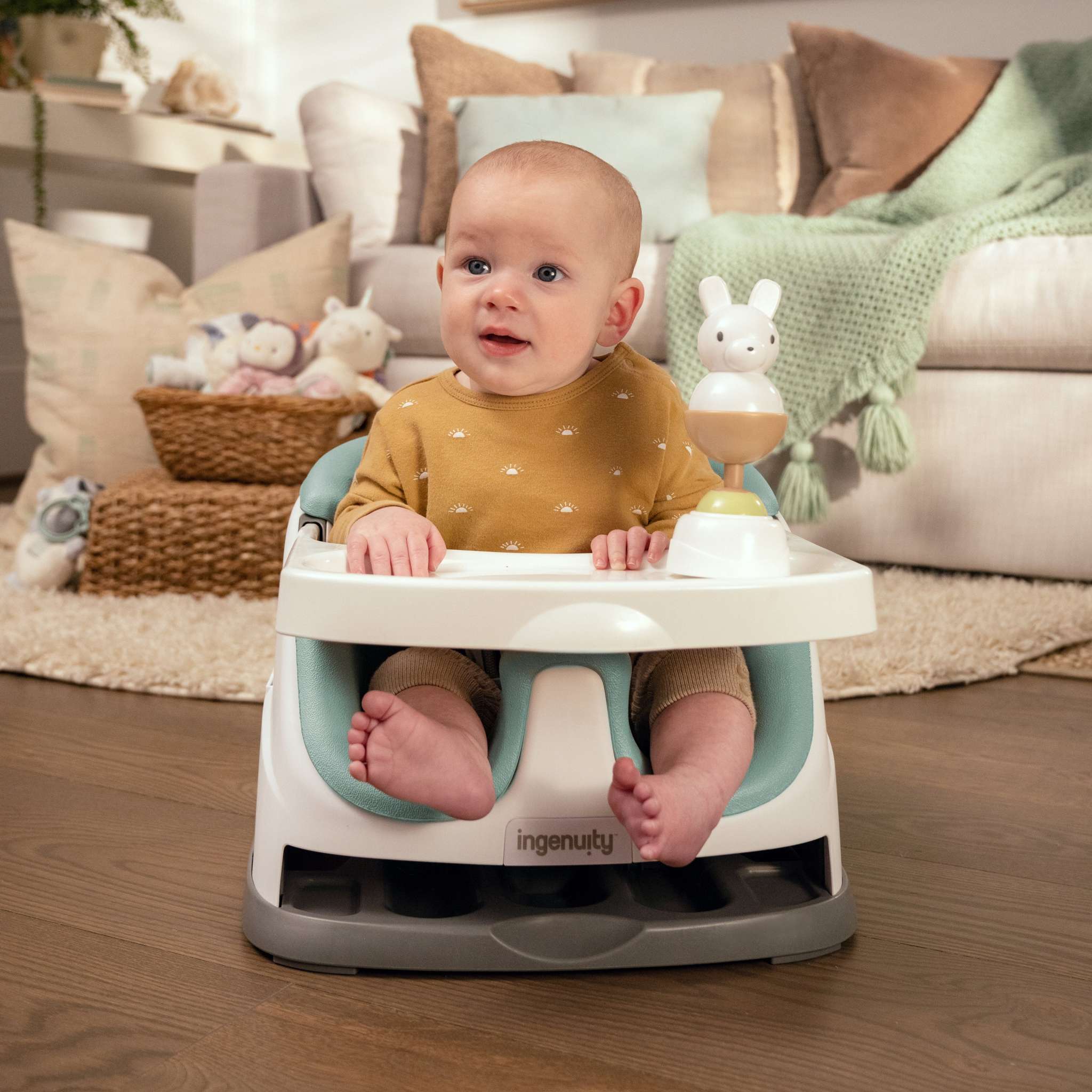 Ingenuity Mealtime Booster Seats