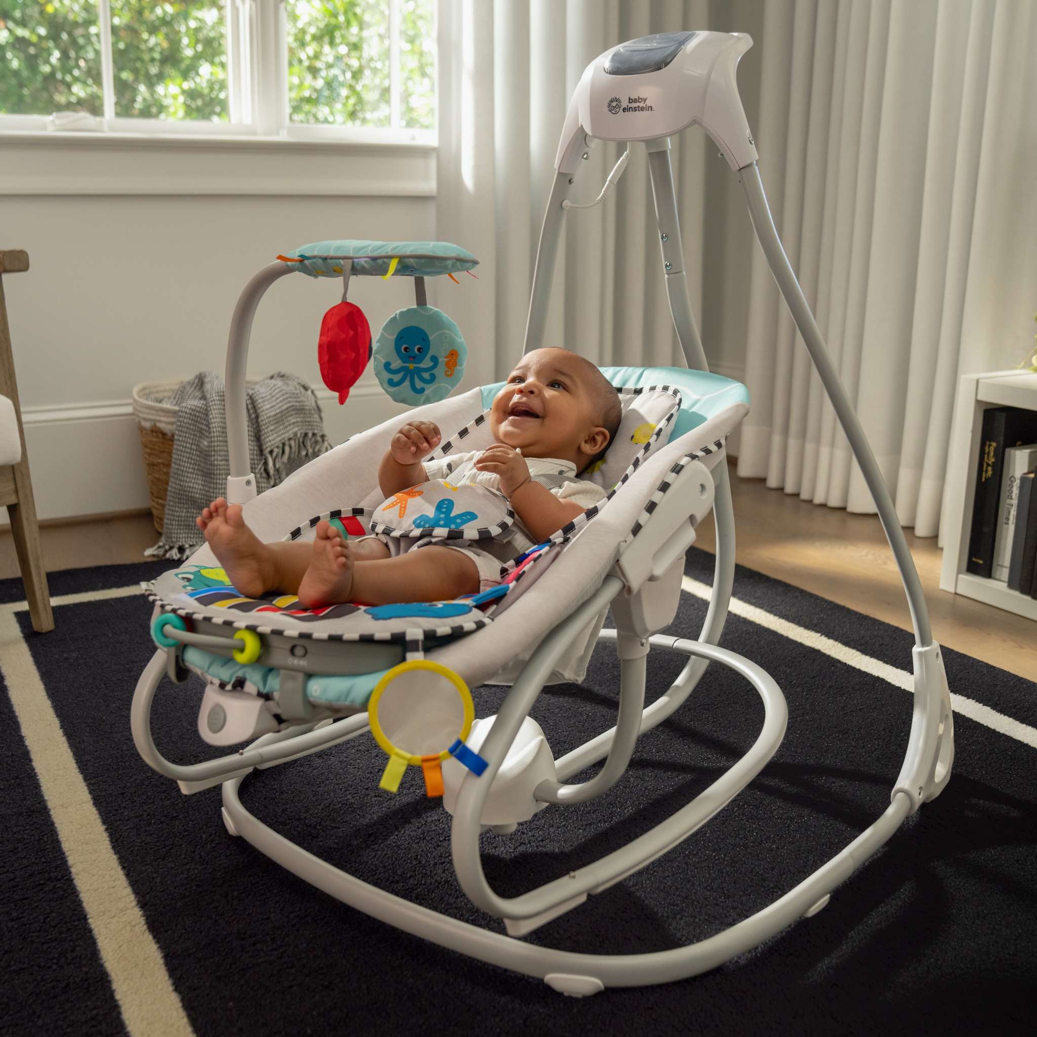 Baby Einstein: 4-6 Months