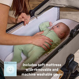 Ingenuity 3DSuite DualDock Carry Cot  Portable Baby Bassinet for Overnight Sleep (with Stand Only) & Stroller Carry Cot - Cashew