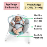 Ity by Ingenuity Bouncity Bounce Vibrating Deluxe Bouncer with plush headrest and toy bar for newborns