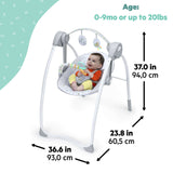 Bright Starts Disney Baby Winnie the Pooh Milestone Swing, Classic Pals