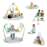 Ingenuity Tummy-to-Toes 6-in-1 Milestone Center, Unisex, For Ages 0-48 Months