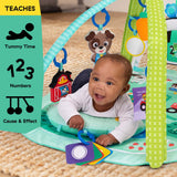 Baby Einstein 4-in-1 Kickin’ Tunes™ Musical Meadow™ Music & Language Discovery Gym