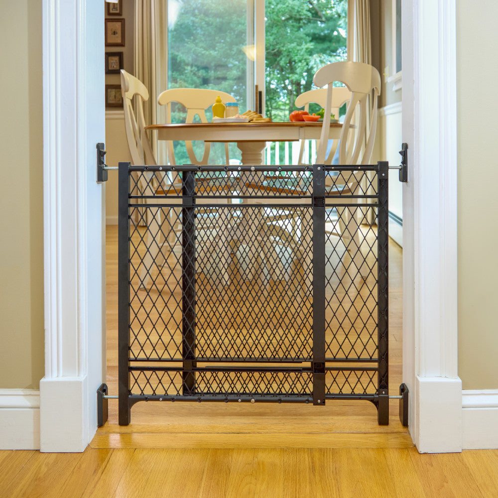 Ingenuity Doorway 42W Series baby and dog gate 2-pack with no-drill installation, 24" tall, black matte finish, fits 23-42" openings