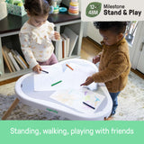 Ingenuity 3-in-1 Play Center for Babies and Toddlers  Jumper, Table & Floor Toys