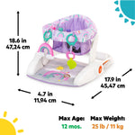 Purple Paradise Learn-to-Sit 2-Position Floor Seat with padded support and attached toys for babies 4-12 months