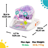 Purple Paradise Learn-to-Sit 2-Position Floor Seat with padded support and attached toys for babies 4-12 months