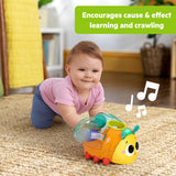 Bright Starts Spin ’n’ Chase Bug Ball Popper Toy with Lights & Music, Unisex, 6M+