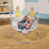 Bright Starts Disney Baby Winnie the Pooh Classic Pals Vibrating Bouncer