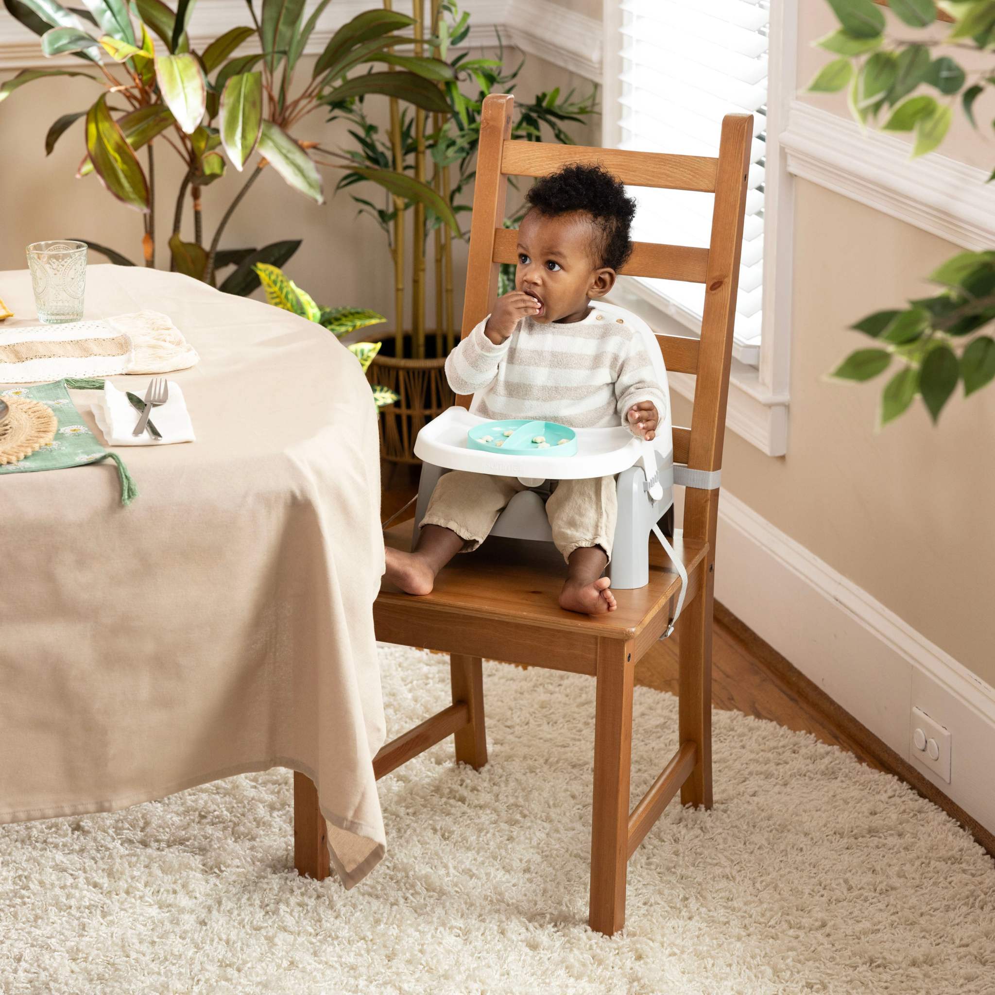Ingenuity Deluxe Learn-to-Dine Feeding Seat with lock-in Twist & Dine trays and 3-point harness for babies 6-36 months