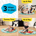 Baby Einstein Happy Harvest Touch & Feel Activity Gym with sensory toys and barnyard play mat for infants