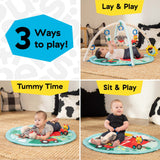 Baby Einstein Happy Harvest Touch & Feel Activity Gym with sensory toys and barnyard play mat for infants