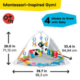 Baby Einstein Discover More 4-in-1 Developmental Play Gym & Activity Mat, Ages 0+ Months