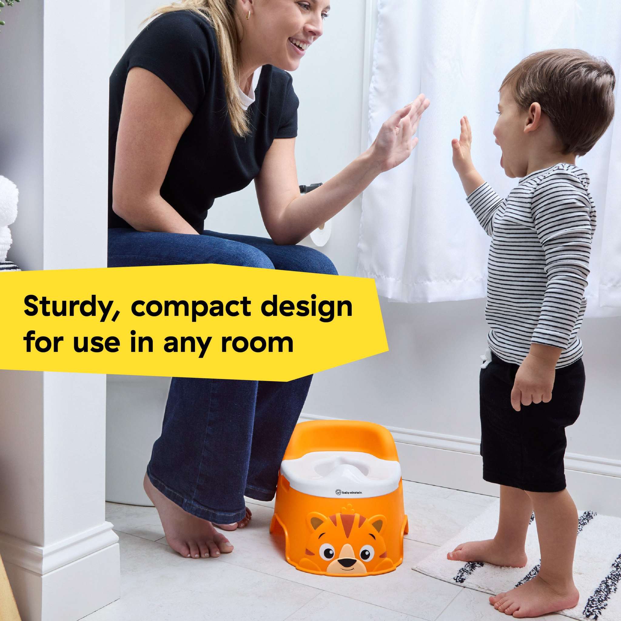 toddler potty training seat