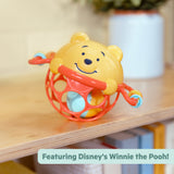 Disney Baby Winnie the Pooh Jingle & Shake Rattle Toy by Bright Starts