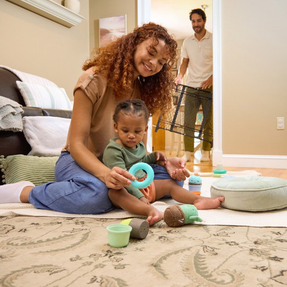 Ingenuity Doorway 42W Series Baby and Dog Gate