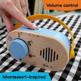 Baby Einstein + Hape Discovery Radio Toy Radio, Musical, Ages 6 Months+