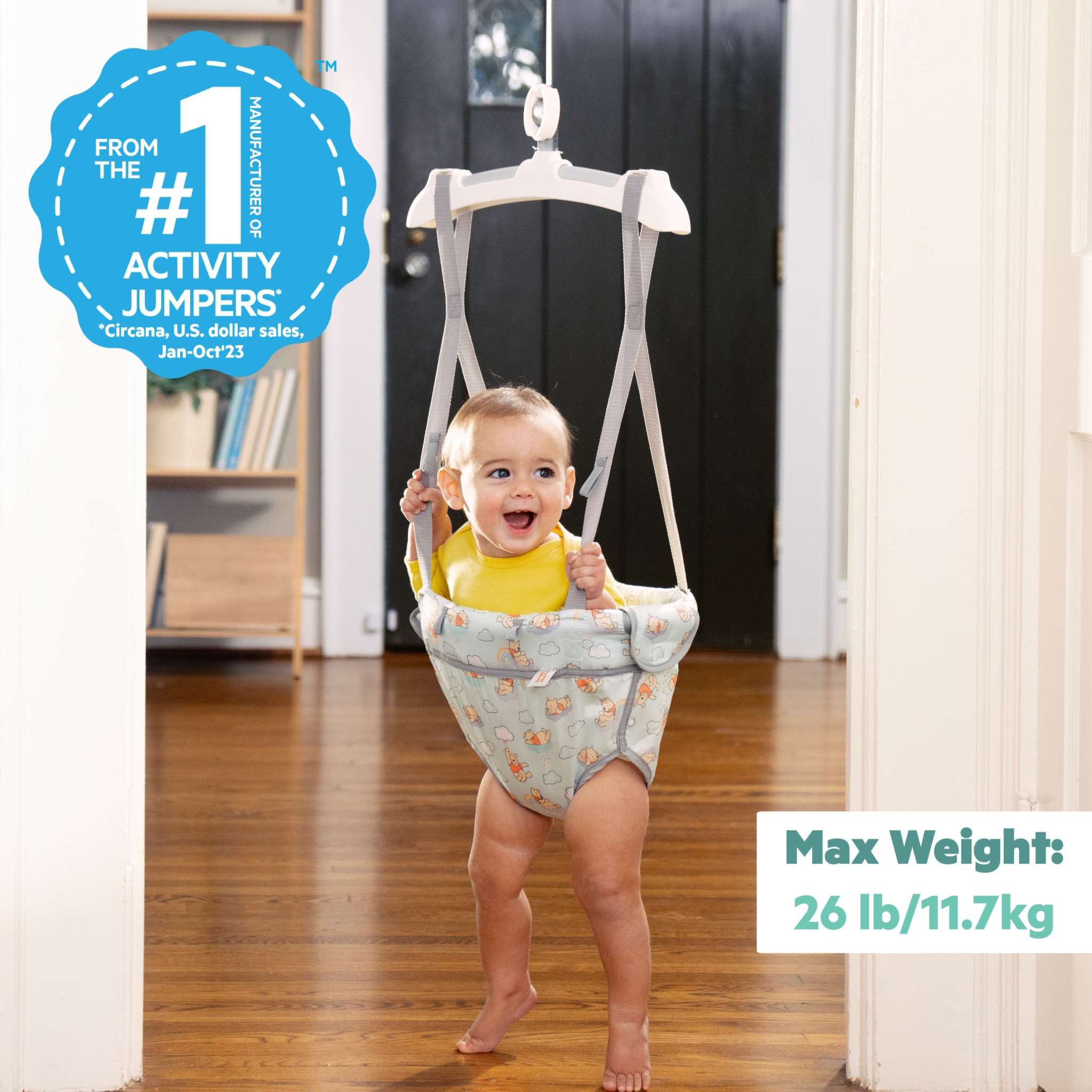 Tigger Door Jumper Tigger Door Jumper Tigger Door Bouncer Discount