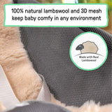 Ingenuity Every Season Rocking Seat - For Ages 0-30 Months - Wesley