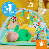 Bright Starts Grip & Kick Oball Activity Gym, Soccer, Unisex