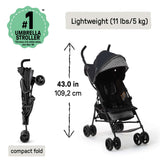 Ingenuity 3Dmini Convenience Stroller - Gray