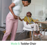 Ingenuity Beanstalk Baby to Big Kid 6-in-1 High Chair in Ray color for newborns to 5 years