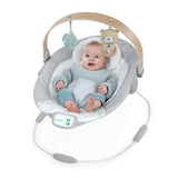 baby in with cozy spot soothing bouncer