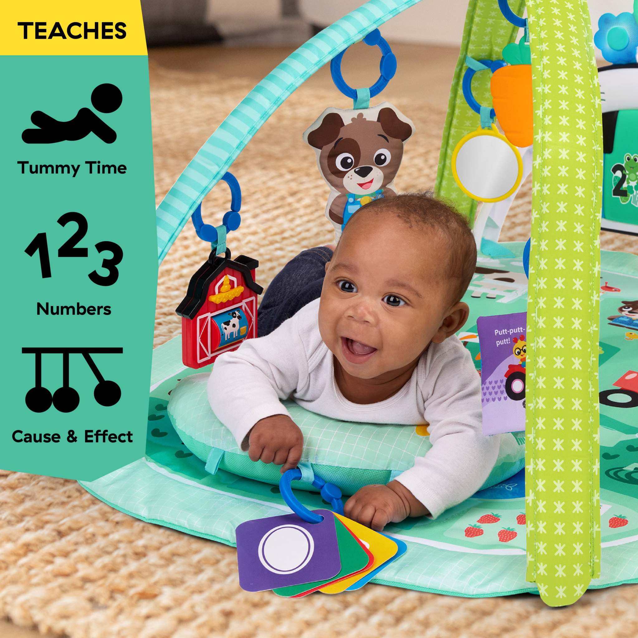 Baby Einstein Farm Explorers 4-in-1 musical discovery gym for babies