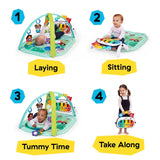 Baby Einstein Farm Explorers 4-in-1 musical meadow gym for infants