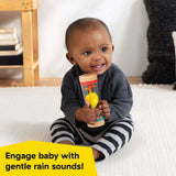 Baby Einstein rolling rainmaker rain stick sensory rattle toy for infants