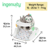 Ingenuity Prop Spot Learn-to-Sit - Loni