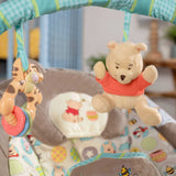 Bright Starts Disney Baby Winnie the Pooh Dots and Hunny Pots infant bouncer seat