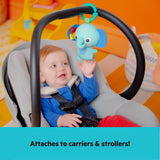 baby in a wild wiggles foldaway activity gym