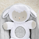 comfort 2 go portable swing - cuddle lamb