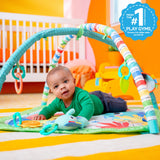 Wild Wiggles™ FoldAway Activity Gym™