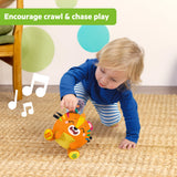 Bright Starts Bop Around Tiger Crawl & Chase Pal, Baby Activity Toy, 6 Months+