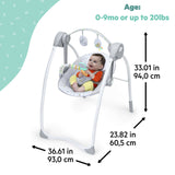 Bright Starts Disney Winnie the Pooh Classic Pals Milestone Swing