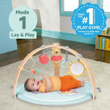 Bright Starts Disney Baby Winnie the Pooh Hunny Hangout Activity Gym