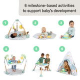 Ingenuity Tummy-to-Toes 6-in-1 Milestone Center, Unisex, For Ages 0-48 Months