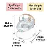 Cozy Spot™ Soothing Bouncer