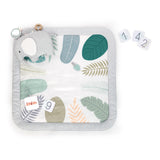 sprout spot baby milestone play mat