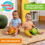 Bright Starts Bop Around Tiger Crawl & Chase Pal, Baby Activity Toy, 6 Months+