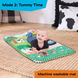 Baby Einstein Busy Barnyard™ Grow With Me Activity Gym