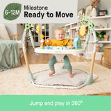 Tummy to Toes™ 6-in-1 Milestones Center